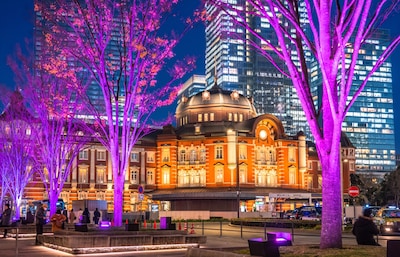 冬日幻境，霓虹物语——唯美灯光秀全攻略（2025~2026年版）