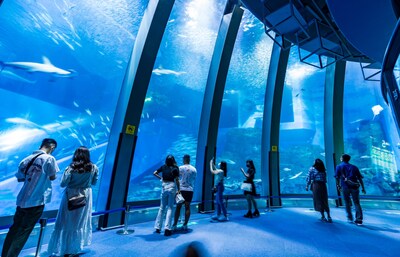 【日本自由行】海洋探索之旅：日本必訪10大水族館完全指南