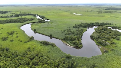 A Great Wetland Wilderness: Exploring Kushiroshitsugen National Park