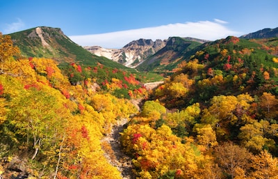 Above the Clouds: Exploring Daisetsuzan National Park