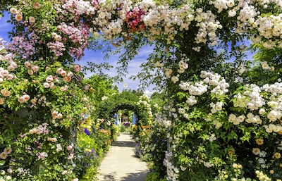 日本自由行：逃离东京人海！这6个宝藏春游地，藏着关东最治愈的春天