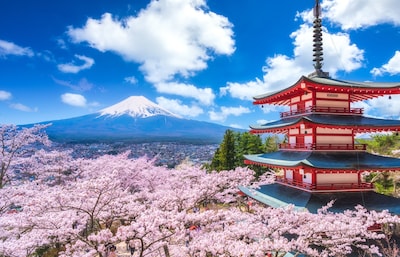 The Shrine with the Best View of Mount Fuji