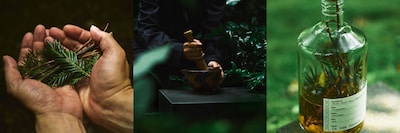 【日本東京】將里山的香氣，縮微於一杯雞尾酒中｜在東京惠比壽遇見日本的自然與酒文化