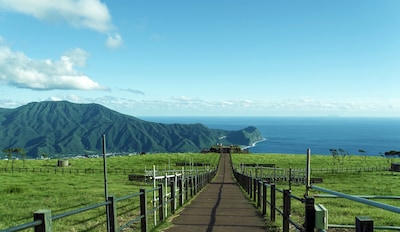 咫尺东京的避世海岛：用“Tokyo Islands Explorer”解锁伊豆诸岛之旅