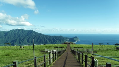 ทริป "Tokyo Islands Explorer" ทางเลือกใหม่ของการตะลุยหมู่เกาะอิซุ (Izu Islands) ของโตเกียว!