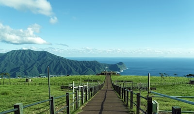 One Site, Five Islands: Booking Tokyo’s Izu Chain