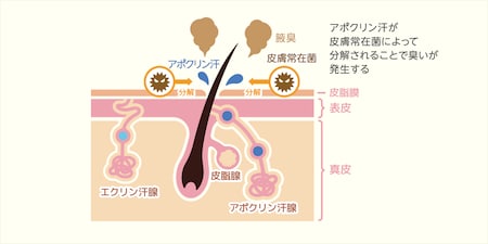 paragraph_1_img_0