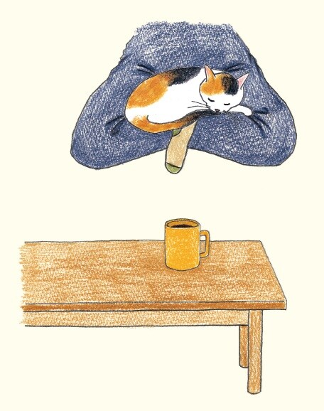 画像出典：『猫のいる家に帰りたい』（仁尾智・著、小泉さよ・イラスト／辰巳出版）