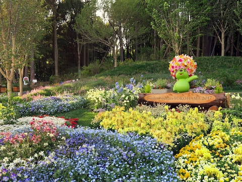 里山ガーデンの「ウェルカムガーデン」は、よこはまフェアの広報親善大使で「園芸王子」として親しまれている、タレントの三上真史さんがデザイン・植え付けを担当。三上さんをイメージして作出されたバラ「爽」もこれから咲き始めるとのこと（2017年5月6日撮影）