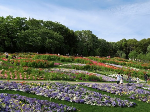 約1万平方メートルの「大花壇」は、さまざまな草花がランダムに植えてあり、どこを撮ってもフォトジェニック（2017年5月6日撮影）