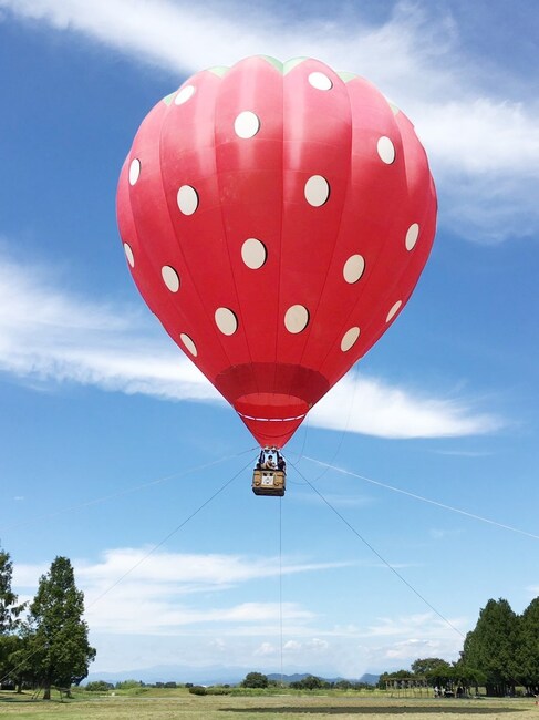 横浜・みなとみらいならではの景色を上空約20メートルから見渡せる「熱気球体験」（画像提供：横浜赤レンガ倉庫）
