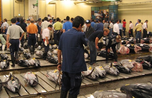 Tsukiji: The Market That Stocks Japan's Pantry