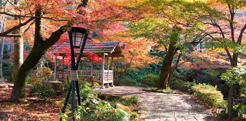 Gifu's Top 5 Autumn Color Spots