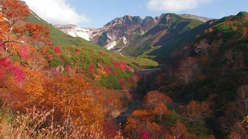 Hokkaido's Top 5 Autumn Color Spots
