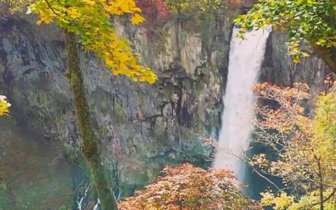 Autumn Waterfall in Nikko