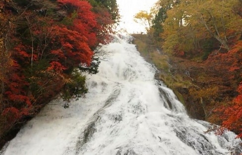 Waterfall with Autumn Colors in Nikko