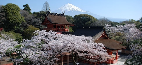 3 Ways to Worship Mount Fuji