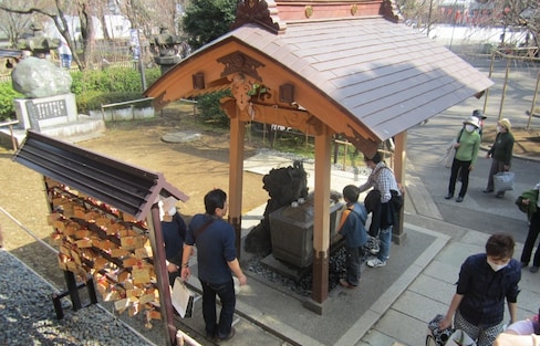 How to Purify Yourself at a Japanese Shrine