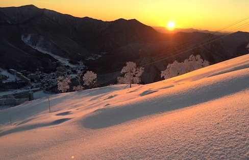 Niigata Ski & Snowboard Guide