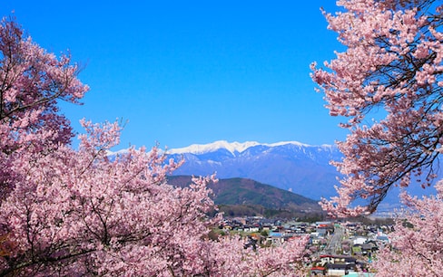 The Wonderful Seasons & Colors of Japan