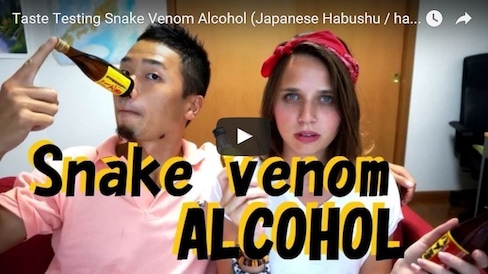 Grace & Ryosuke vs. Snake Venom Alcohol