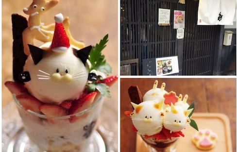 Get Your Paws on a Kitty Parfait