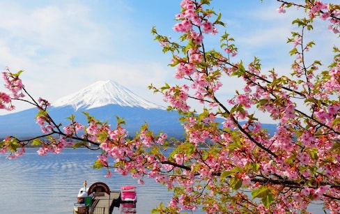 东日本地区赏樱必去景点推介（山梨篇）