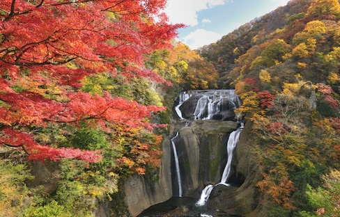 Gardens, Waterfalls & Onsen in Ibaraki
