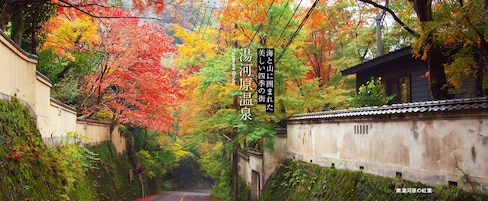 유가와라 온천에서 즐기는 멋진 가을 이벤트3