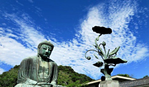Our 5 Favorite Tours in Kamakura