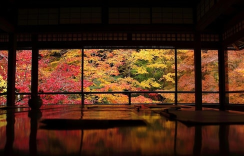 10 สไตล์การชมใบไม้เปลี่ยนสีใน Kyoto