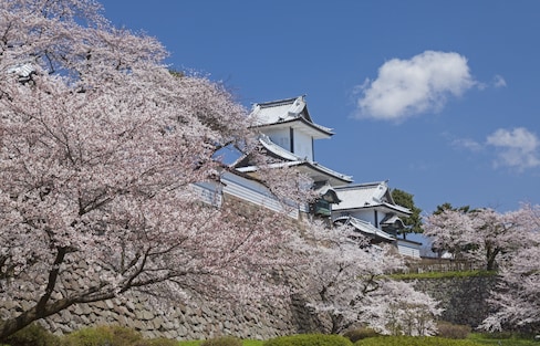 Kanazawa: Traditional Scenes Among the Sakura