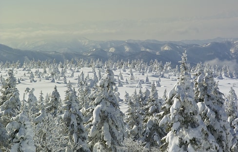The 6 Greatest Snowscapes in Tohoku