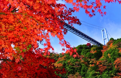 12 Things to Do in Ibaraki in Autumn