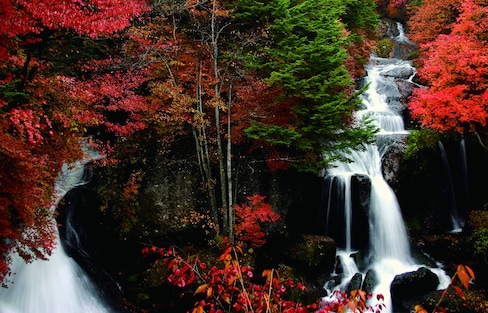 10 Things to Do in Tochigi in Autumn