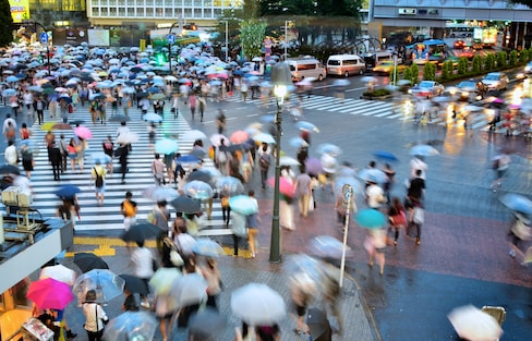 8 Free Things to Do on a Rainy Day in Tokyo