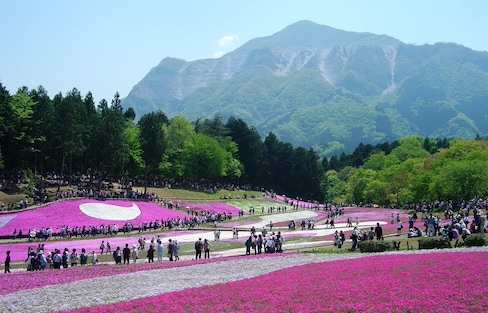 The 11 Best Things to See in Golden Week