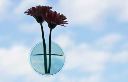 Spruce up the Home With 'Floating' Flower Art