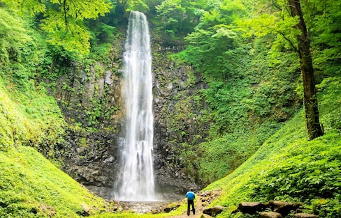 Chasing Waterfalls in Tohoku