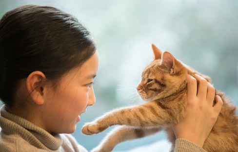 คาเฟ่แมวในญี่ปุ่น ทาสแมวต้องรู้จักไว้