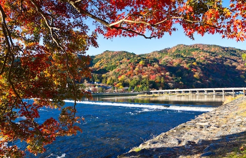 Top 5 Regions to See Red Leaves in Japan