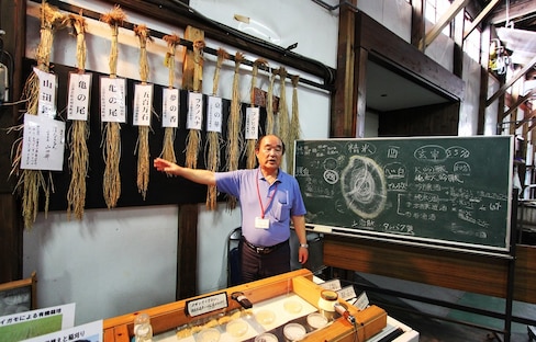 Taste 165 Years of Tradition at a Sake Brewery