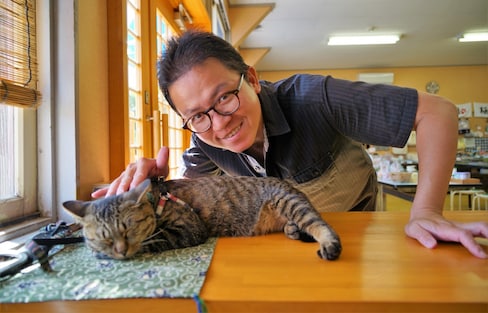 Ishinomaki Fishing & Cat Island Tashirojima