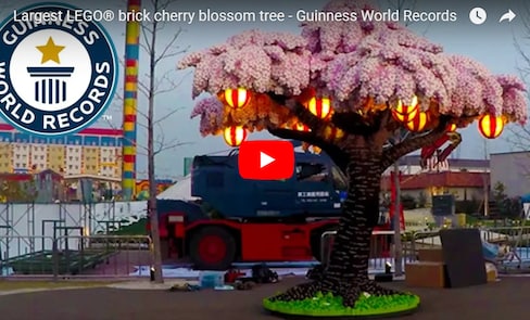 Cherry Tree Made of 880,000 Lego Bricks!