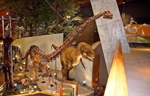 10 พิพิธภัณฑ์ไดโนเสาร์ของญี่ปุ่น