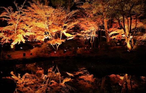 마츠시마의 아름다운 가을 밤