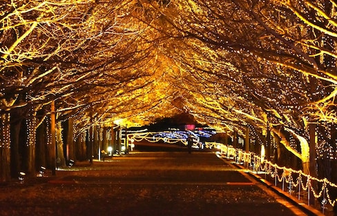 【東京自由行】2019-20聖誕繽紛燈飾巡禮地圖（內文資訊持續更新中）