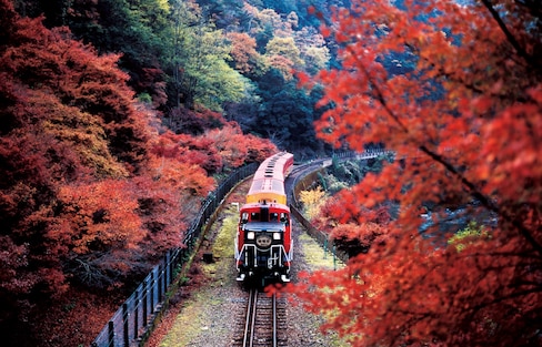 【京都自由行】沿著風景優美的保津川溪谷緩緩行駛的嵯峨野遊覽小火車