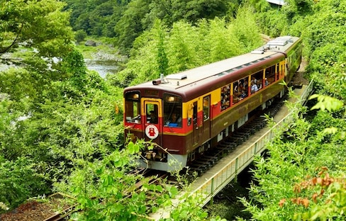 搭乘穿越溪谷山嵐的渡良瀨溪谷鐵道，欣賞來自大自然的「全景圖」