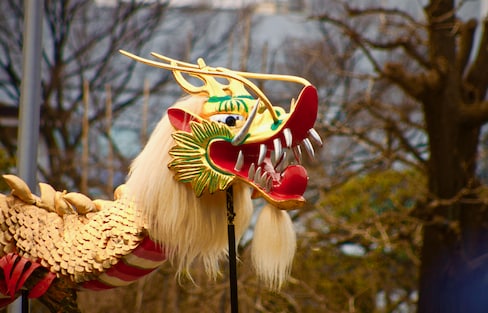 Experience the Dance of the Golden Dragon